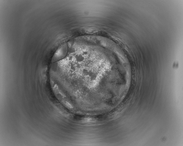 X0000094460319200711291728