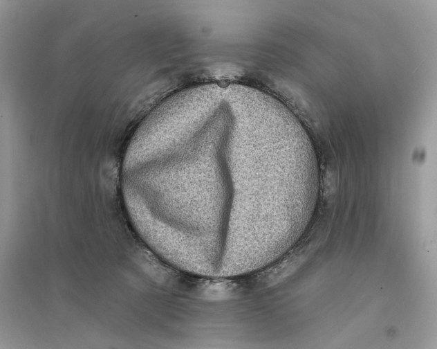 X0000094460321200711291728