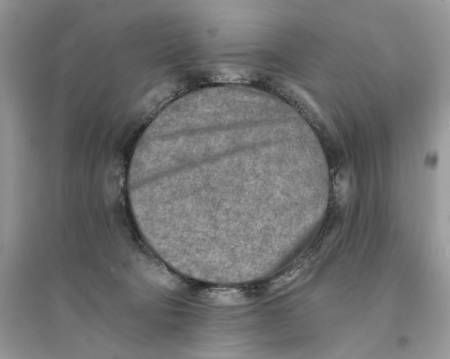 X0000094460322200711291728