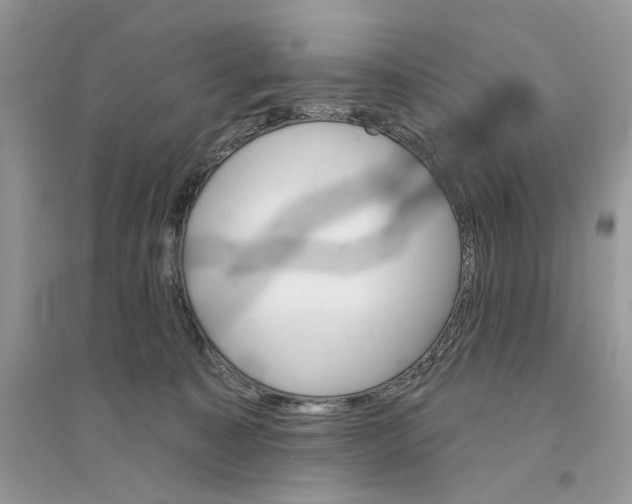 X0000094460323200711291728