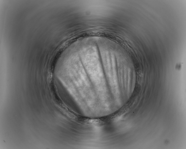 X0000094460324200711291728