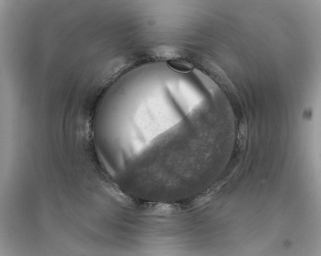 X0000094460330200711291727