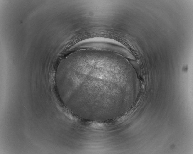 X0000094460332200711291727