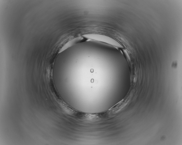 X0000094460333200711291727