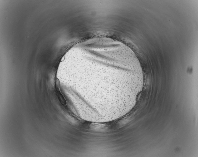 X0000094460334200711291727