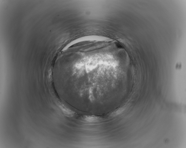 X0000094460336200711291727