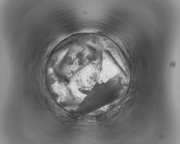 X0000094460337200711291727