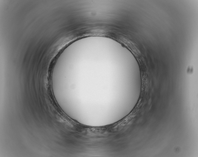 X0000094460338200711291727