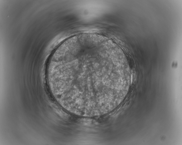 X0000094460339200711291727