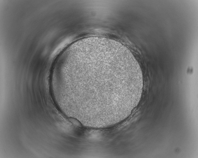 X0000094460341200711291727