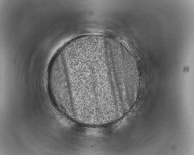 X0000094460342200711291727