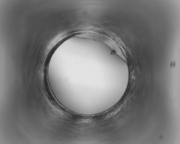 X0000094460344200711291727