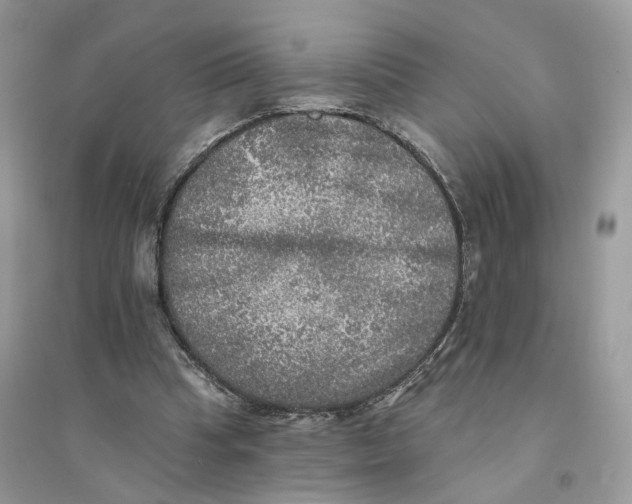 X0000094460345200711291727