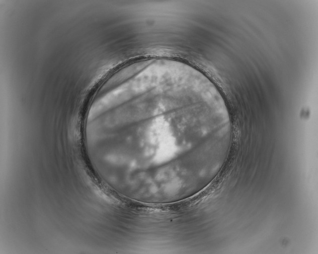 X0000094460347200711291727