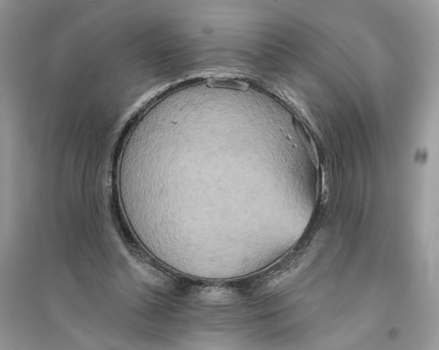 X0000094460348200711291727