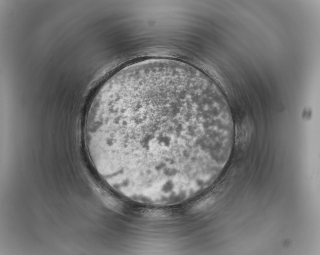 X0000094460349200711291727