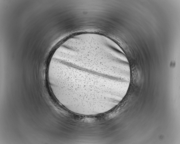 X0000094460350200711291727