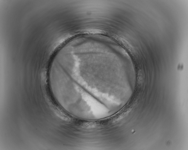 X0000094460351200711291727