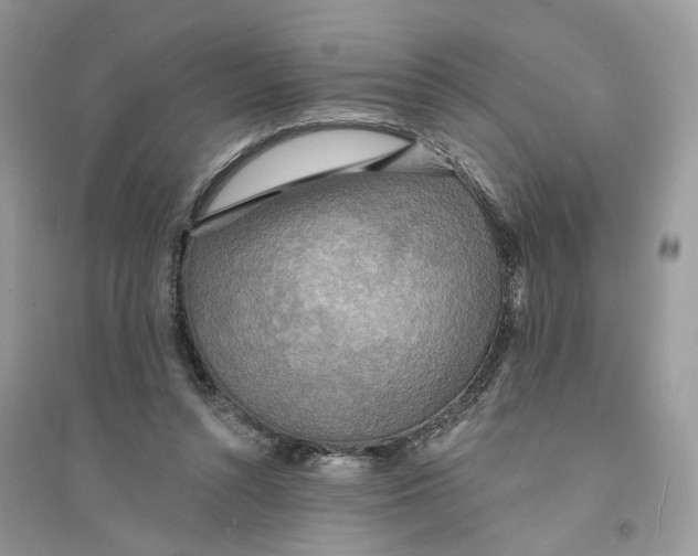 X0000094460352200711291727