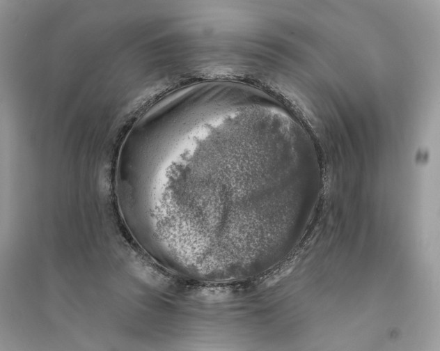 X0000094460353200711291727