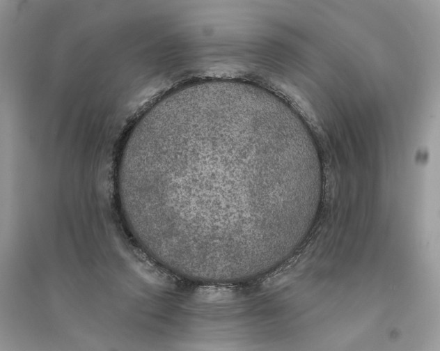 X0000094460354200711291727