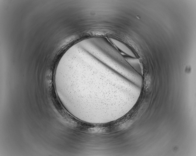 X0000094460356200711291727