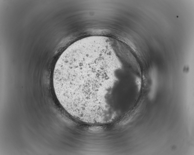 X0000094460357200711291727