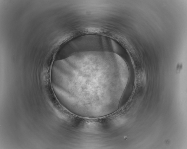 X0000094460360200711291727