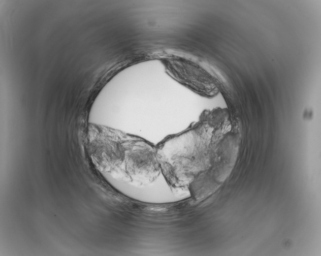 X0000094460361200711291727