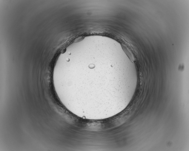 X0000094460362200711291727