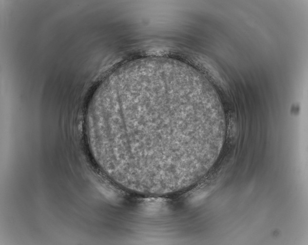 X0000094460363200711291727