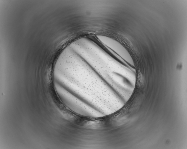 X0000094460364200711291727