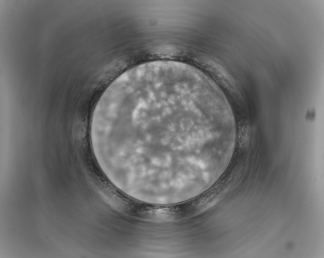 X0000094460365200711291727