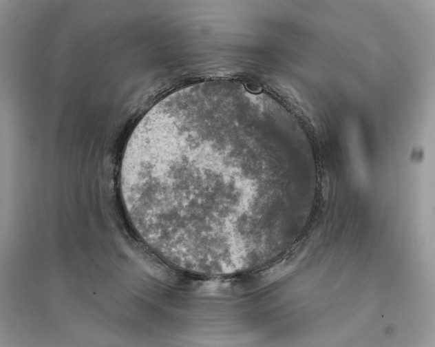 X0000094460366200711291727