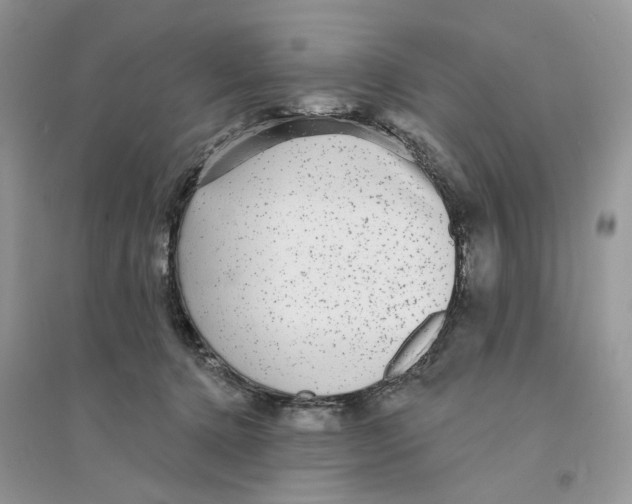 X0000094460368200711291727