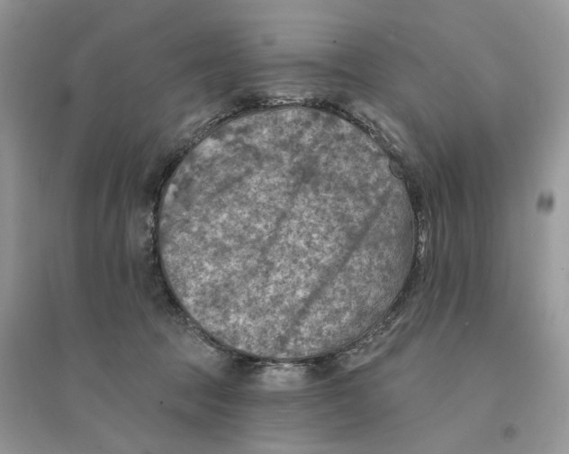 X0000094460369200711291727