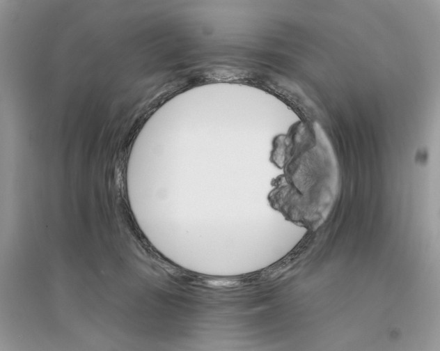 X0000094460371200711291727