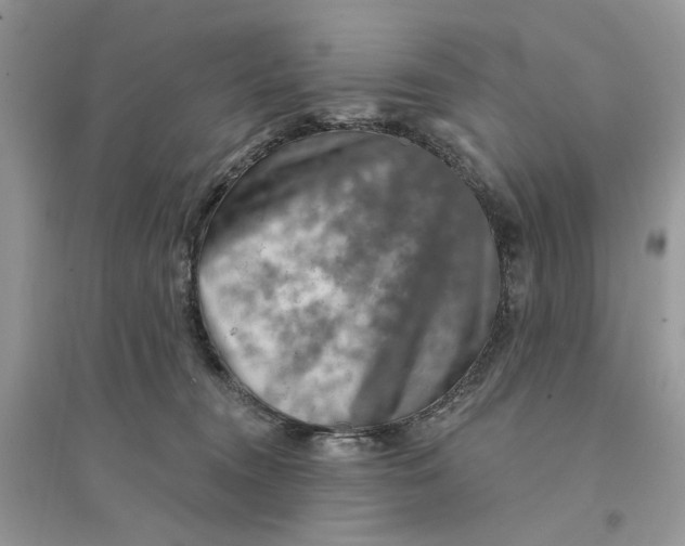 X0000094460372200711291727