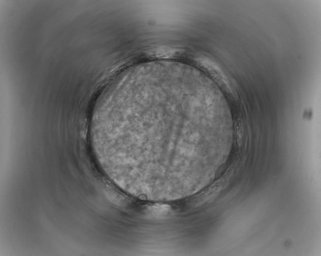 X0000094460374200711291727