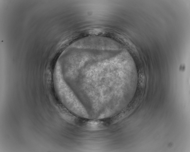 X0000094460375200711291727