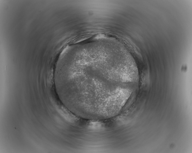 X0000094460376200711291727