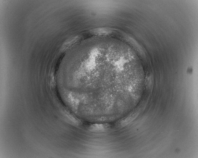 X0000094460381200711291727