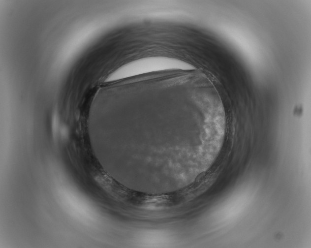 X0000094460382200711291727