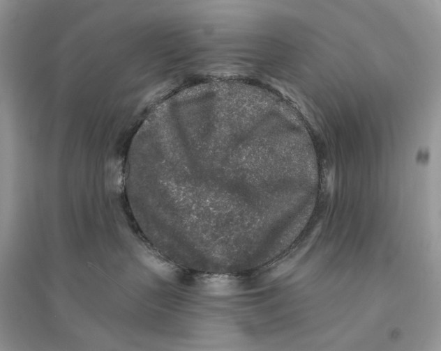 X0000094460383200711291727