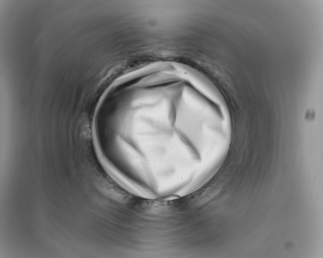 X0000094460384200711291727