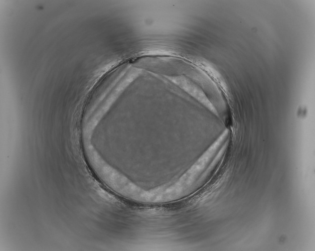 X0000094460385200711291727