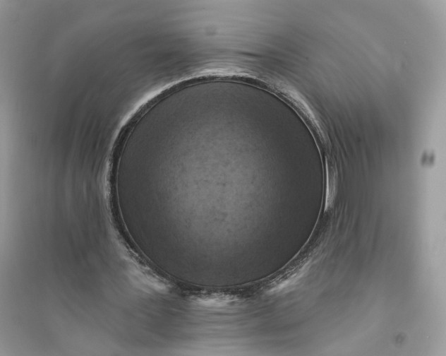 X0000094460387200711291726