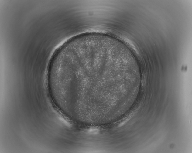 X0000094460388200711291726