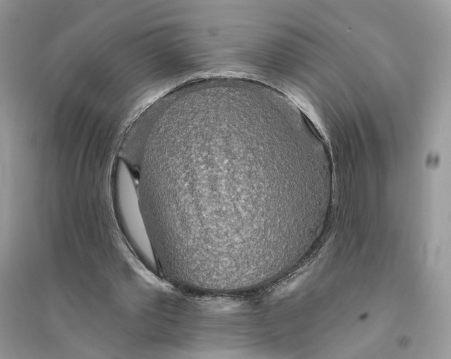 X0000094460389200711291726