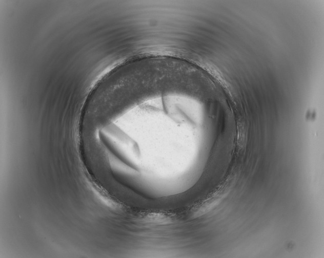 X0000094460390200711291726